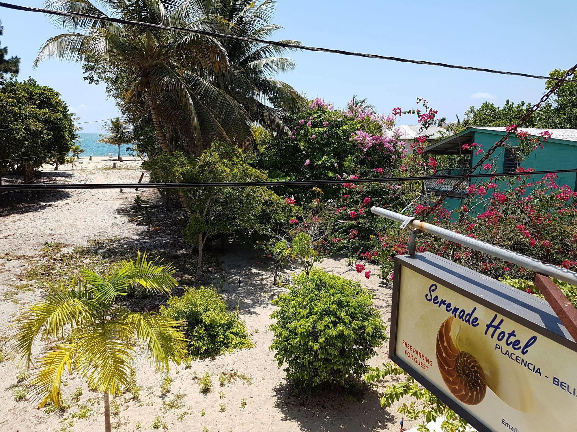 Serenade Hotel Placencia Eksteriør billede